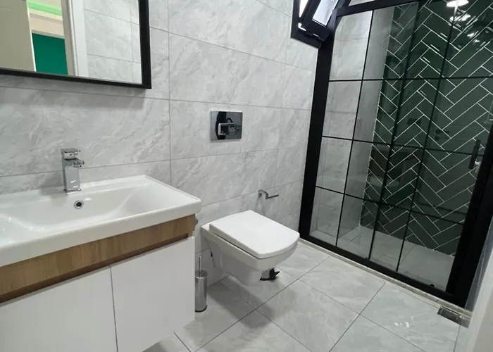 别墅 Micro 1 费特希耶